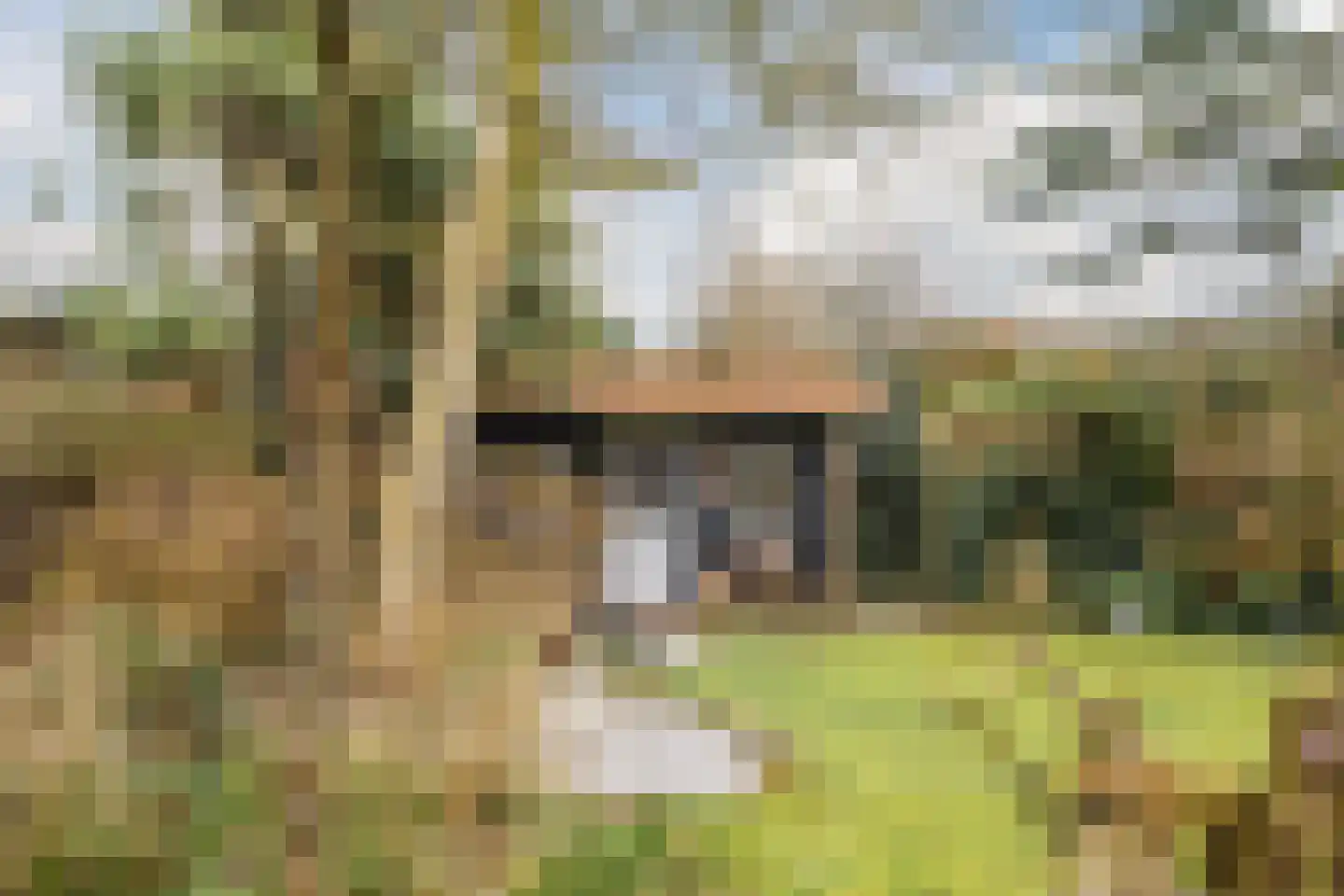 Oude Schulpweg 5 Egmond-Binnen thumbnail 43