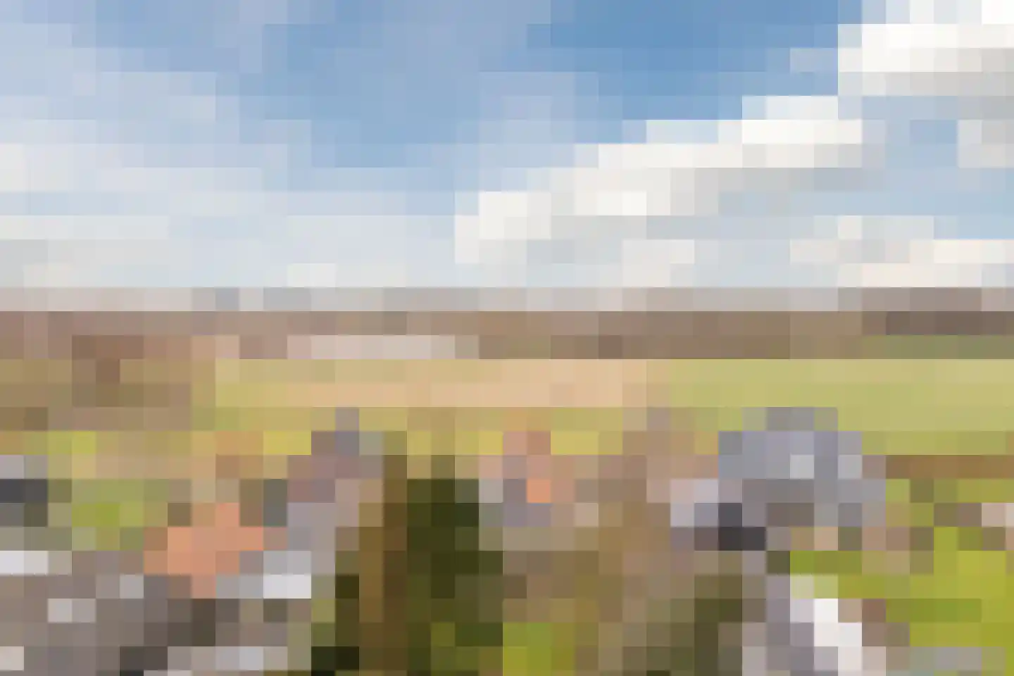 Oude Schulpweg 5 Egmond-Binnen thumbnail 46