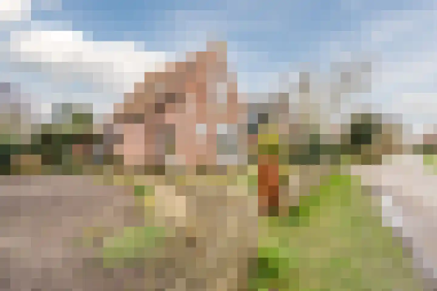 Oude Schulpweg 5 Egmond-Binnen thumbnail 6