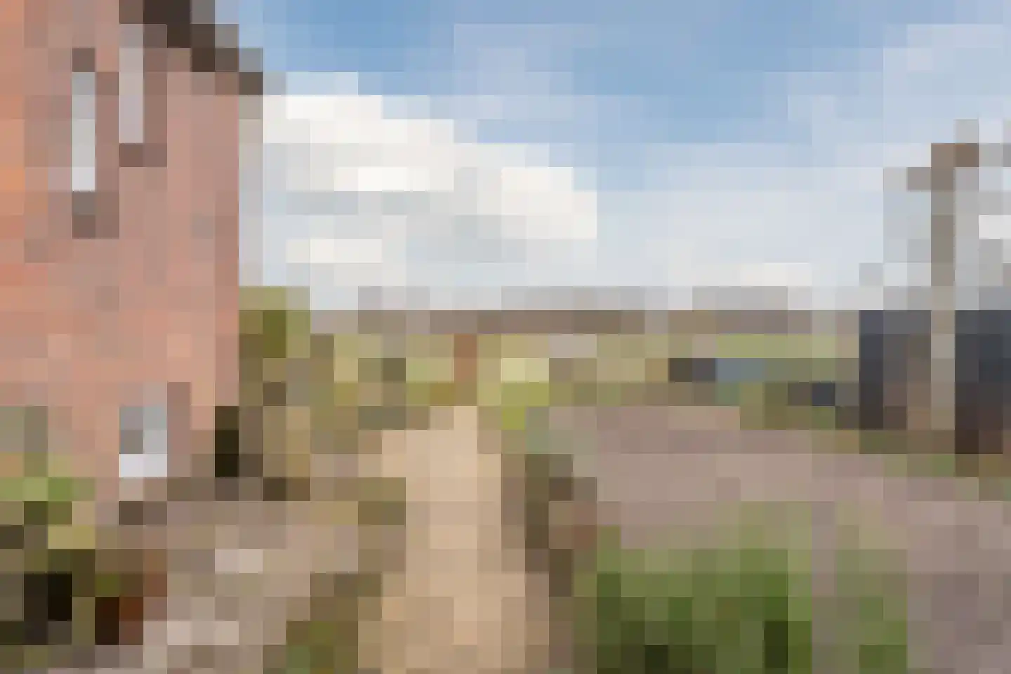 Oude Schulpweg 5 Egmond-Binnen thumbnail 7