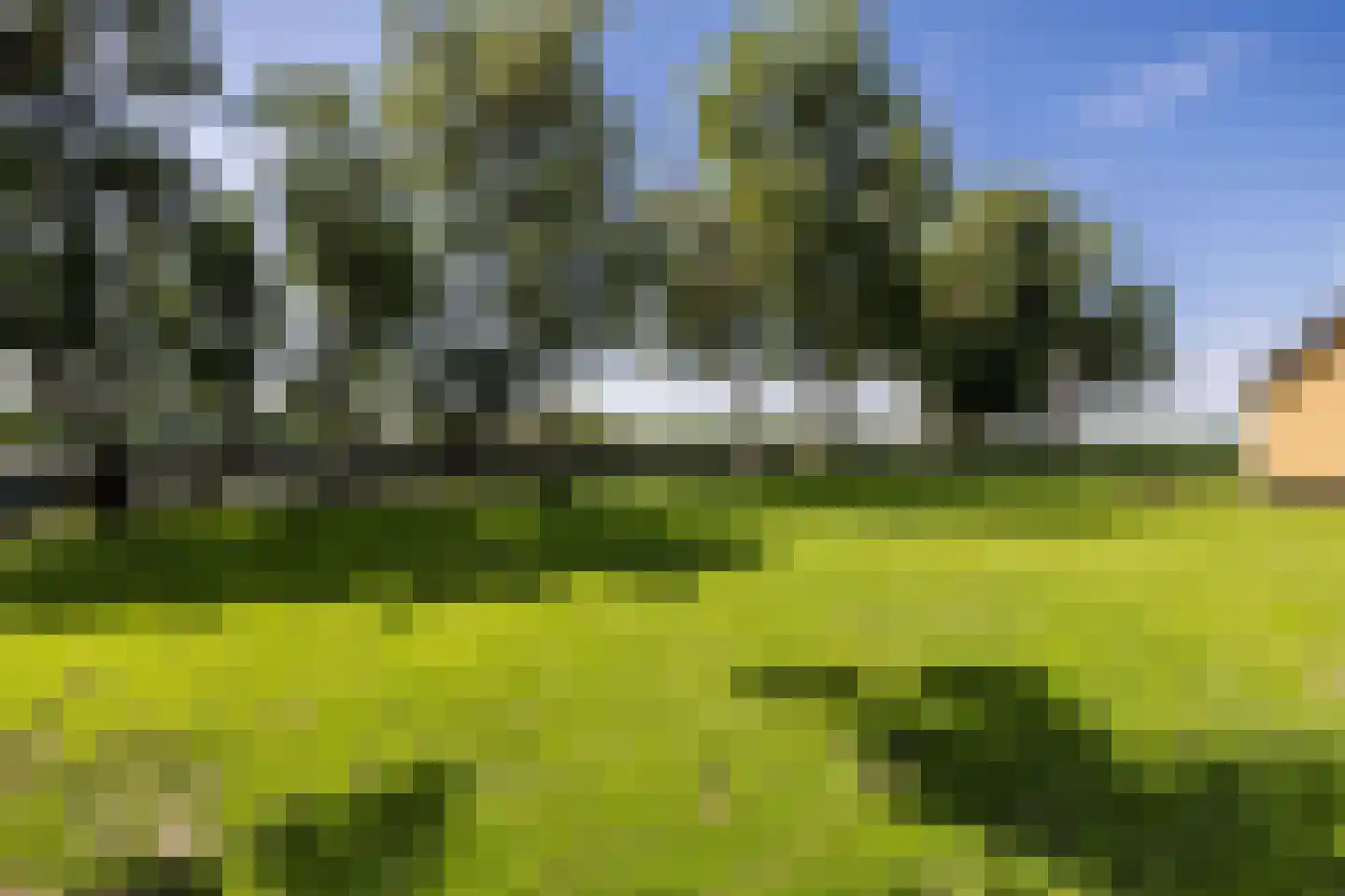Oude Schuttingkanaal OZ 116 Roswinkel thumbnail 41