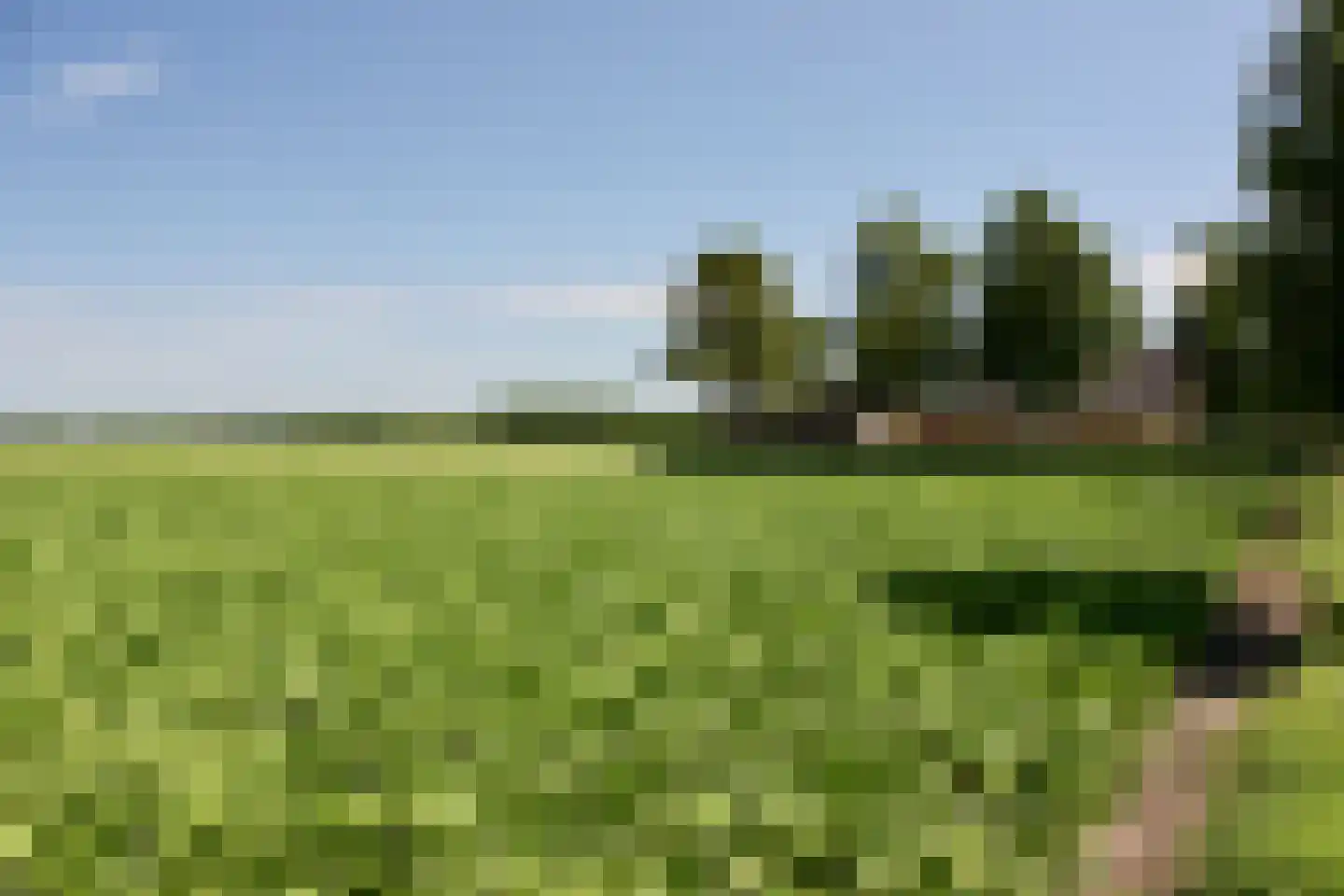 Oude Schuttingkanaal OZ 116 Roswinkel thumbnail 45