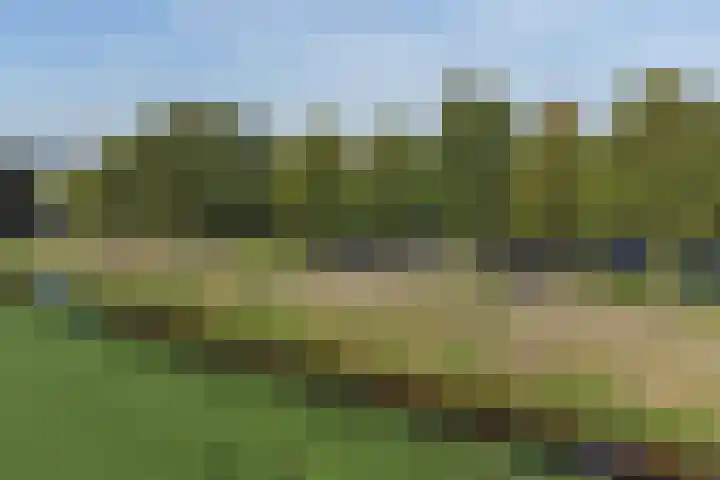Oude Schuttingkanaal OZ 4 Roswinkel thumbnail 100