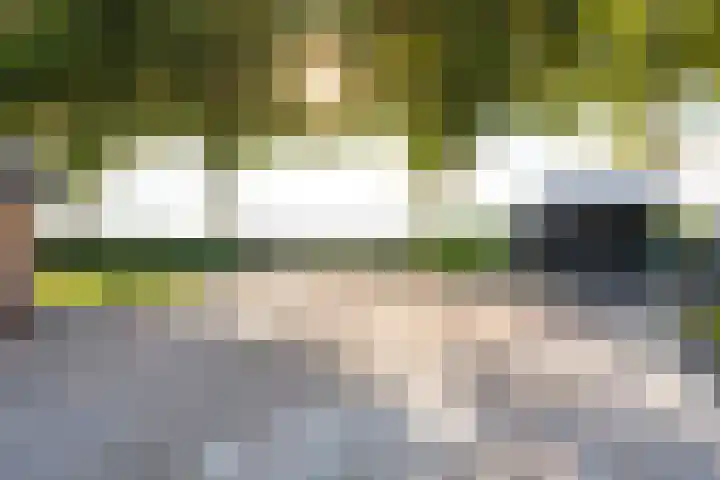 Oude Schuttingkanaal OZ 4 Roswinkel thumbnail 12