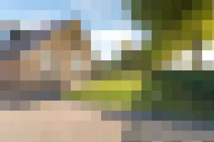 Oude Schuttingkanaal OZ 4 Roswinkel thumbnail 16