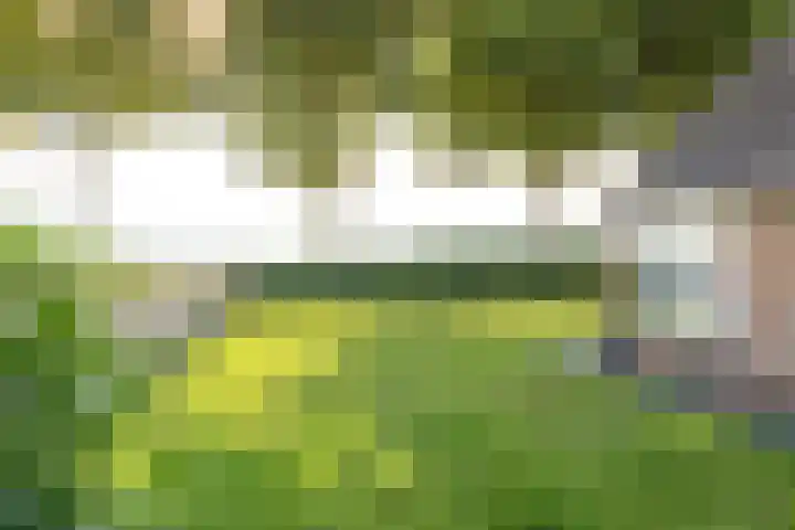Oude Schuttingkanaal OZ 4 Roswinkel thumbnail 19
