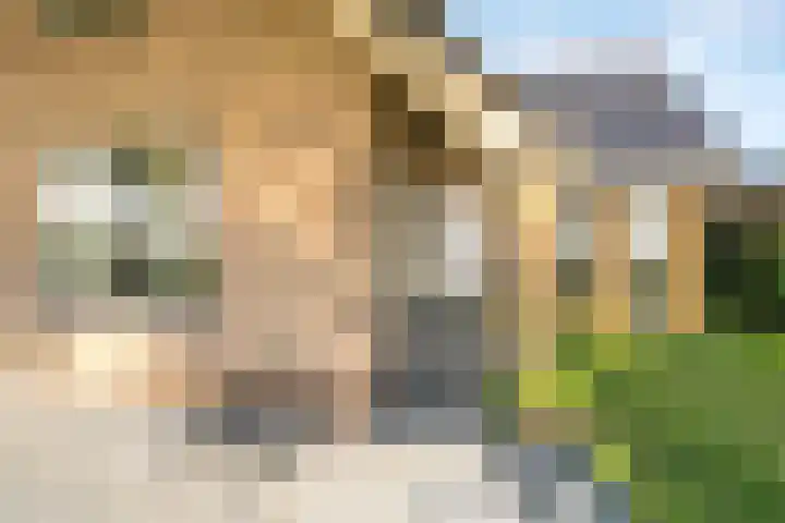 Oude Schuttingkanaal OZ 4 Roswinkel thumbnail 20