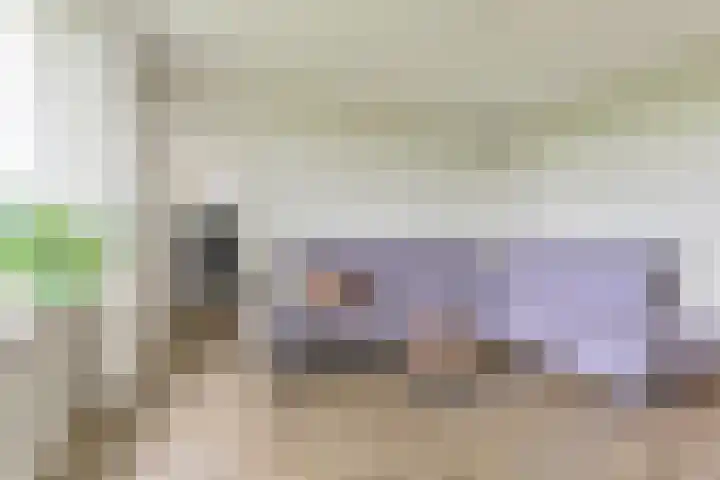 Oude Schuttingkanaal OZ 4 Roswinkel thumbnail 24