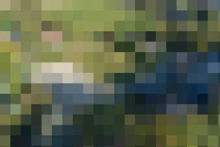 Oude Schuttingkanaal OZ 4 Roswinkel thumbnail 4