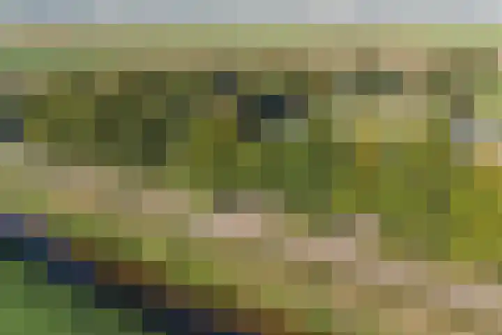 Oude Schuttingkanaal OZ 4 Roswinkel thumbnail 6