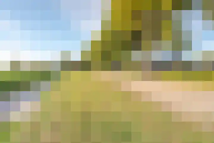 Oude Schuttingkanaal OZ 4 Roswinkel thumbnail 7