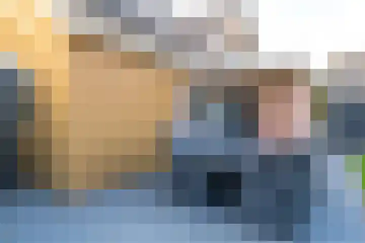 Oude Schuttingkanaal OZ 4 Roswinkel thumbnail 76