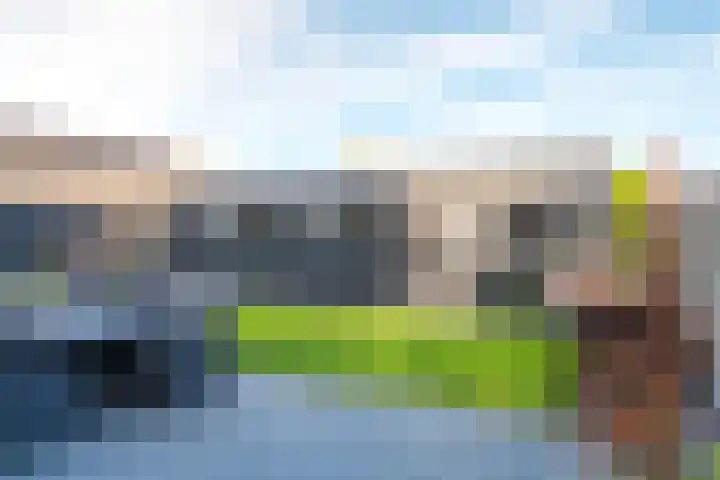 Oude Schuttingkanaal OZ 4 Roswinkel thumbnail 79
