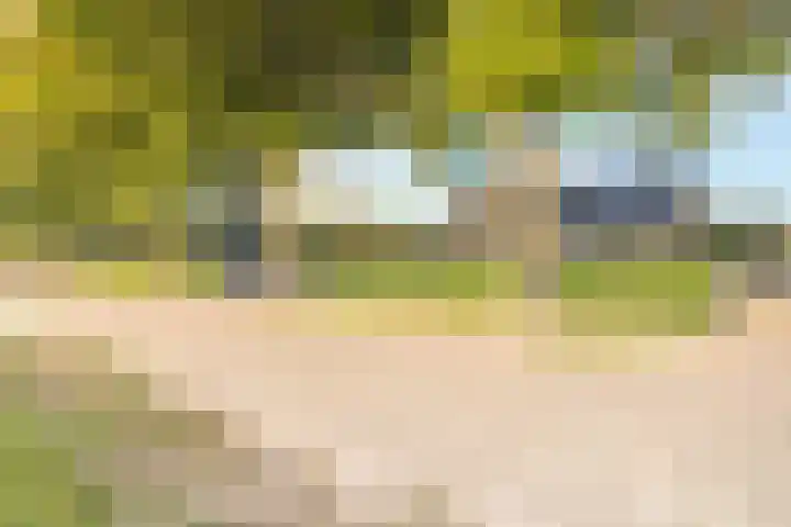 Oude Schuttingkanaal OZ 4 Roswinkel thumbnail 8