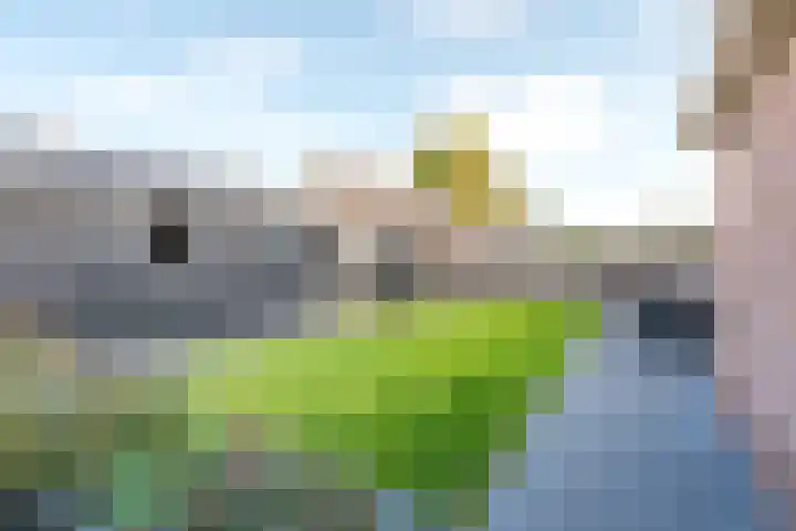 Oude Schuttingkanaal OZ 4 Roswinkel thumbnail 82