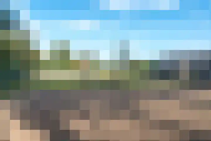 Oude Schuttingkanaal OZ 4 Roswinkel thumbnail 84
