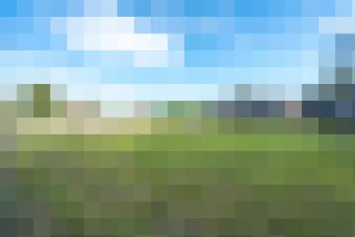 Oude Schuttingkanaal OZ 4 Roswinkel thumbnail 86