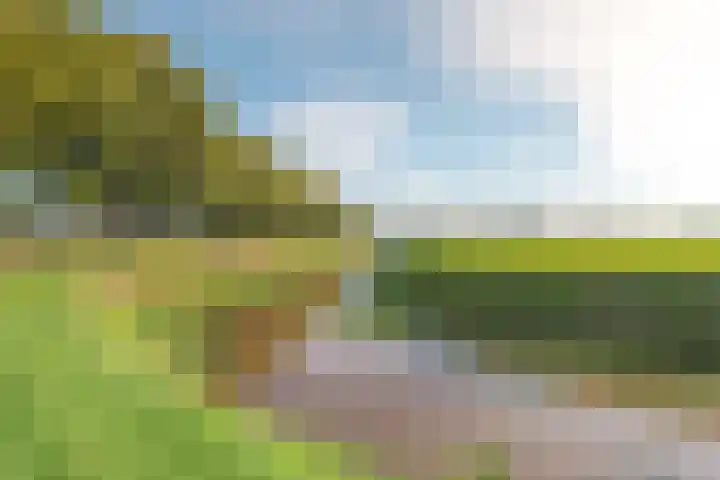 Oude Schuttingkanaal OZ 4 Roswinkel thumbnail 9
