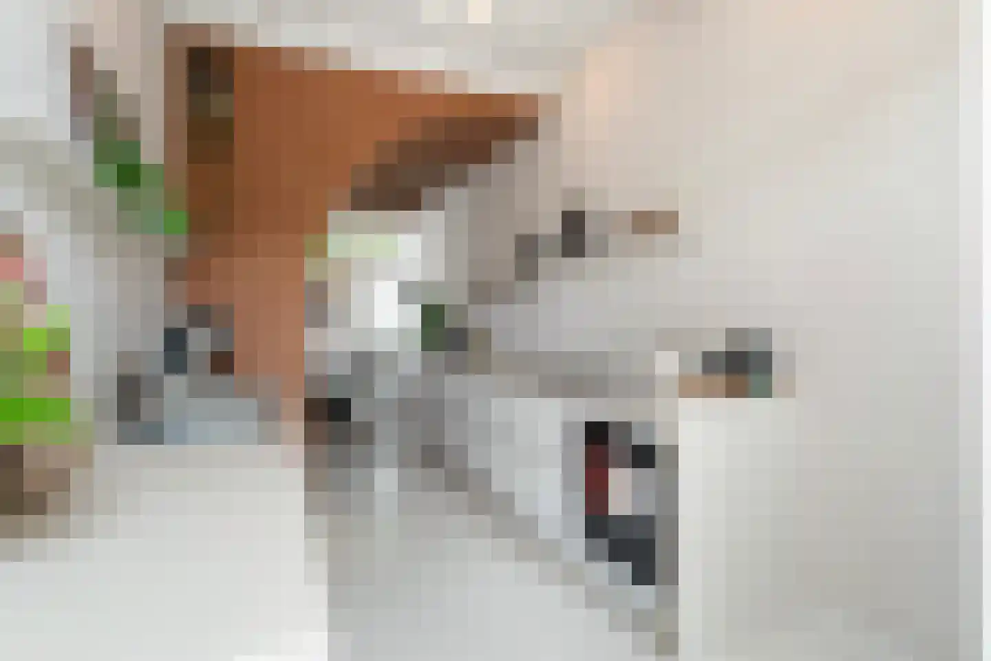 Oude Singel 100 Leiden thumbnail 11