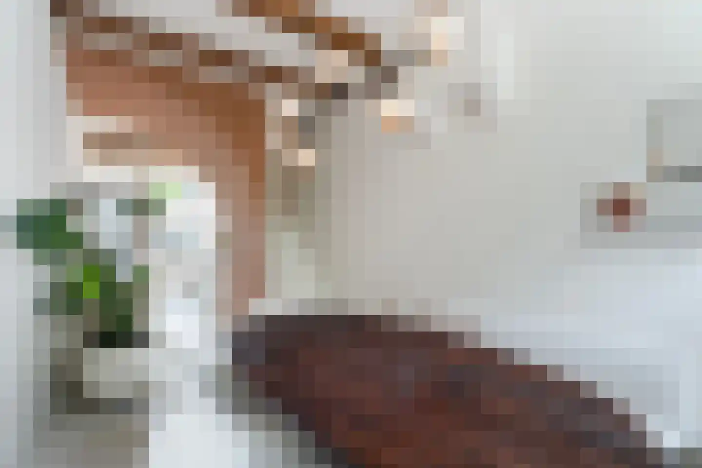 Oude Singel 100 Leiden thumbnail 13