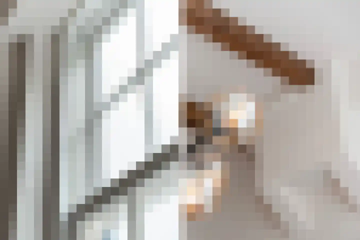 Oude Singel 100 Leiden thumbnail 22