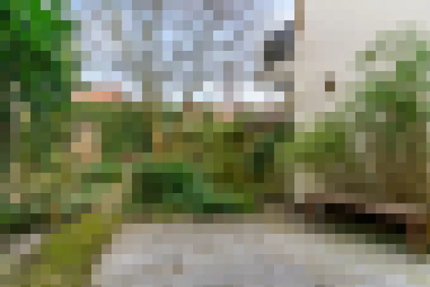Oude Singel 102 Leiden thumbnail 27