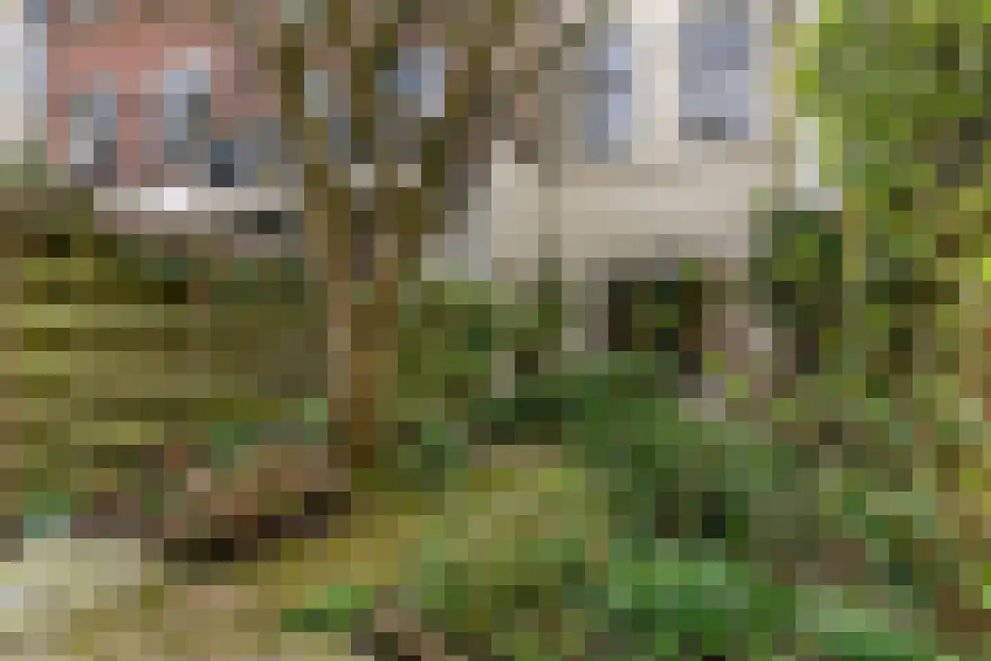 Oude Singel 102 Leiden thumbnail 30
