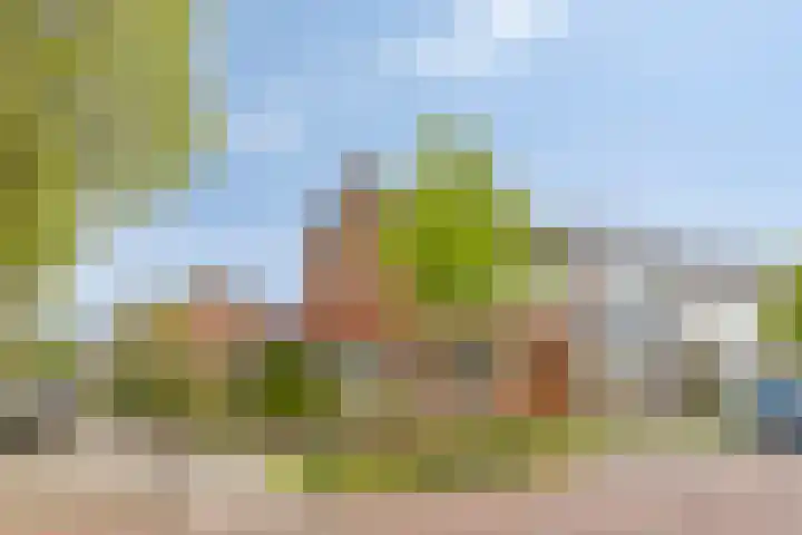 Oude Singel 13 Oudewater thumbnail 39