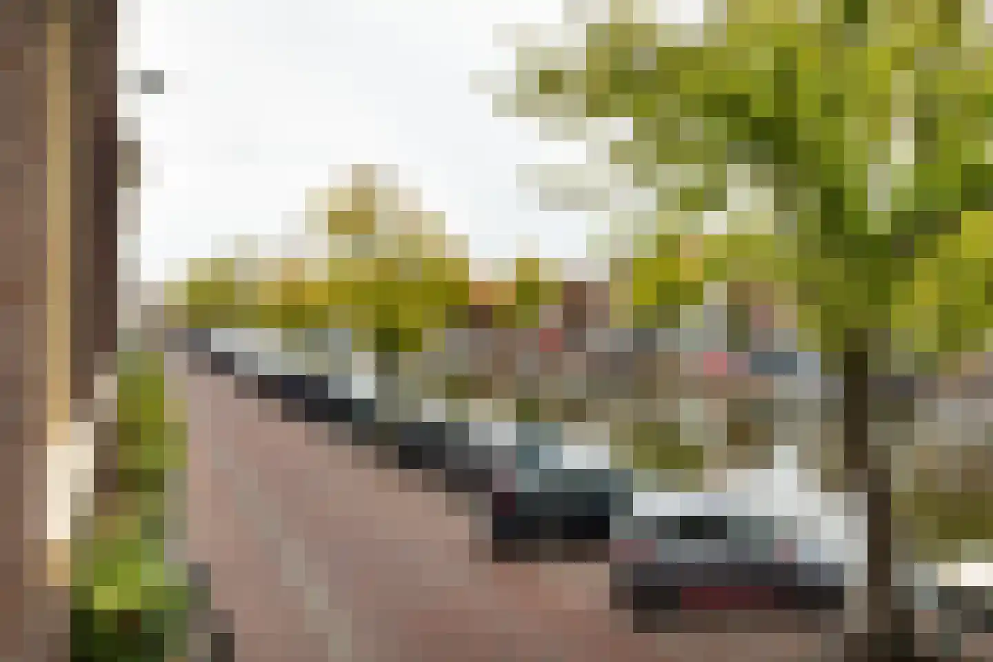Oude Singel 130 A Leiden thumbnail 20