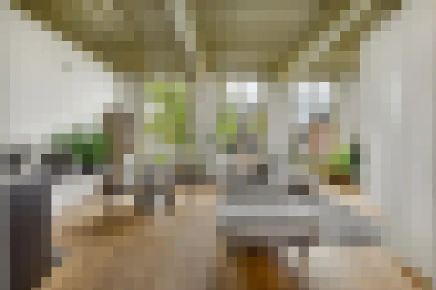 Oude Singel 130 A Leiden thumbnail 6