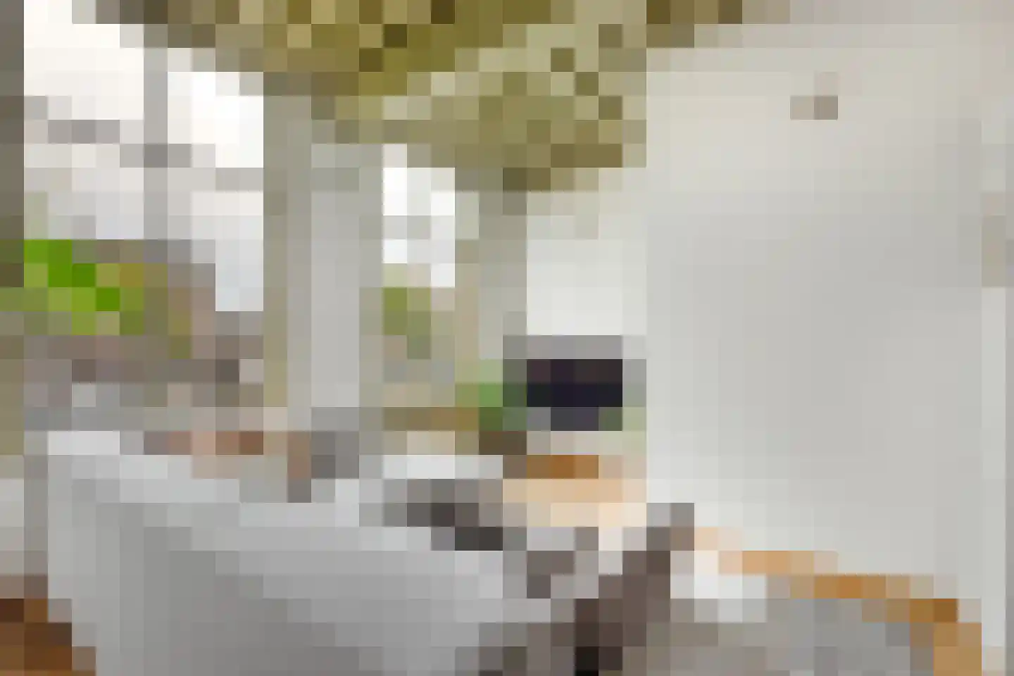Oude Singel 130 A Leiden thumbnail 7