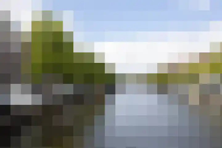 Oude Singel 130 Leiden thumbnail 38