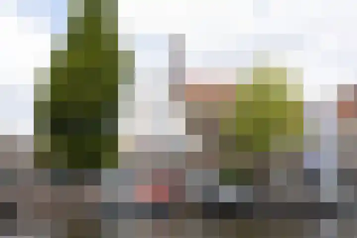 Oude Singel 130 Leiden thumbnail 49