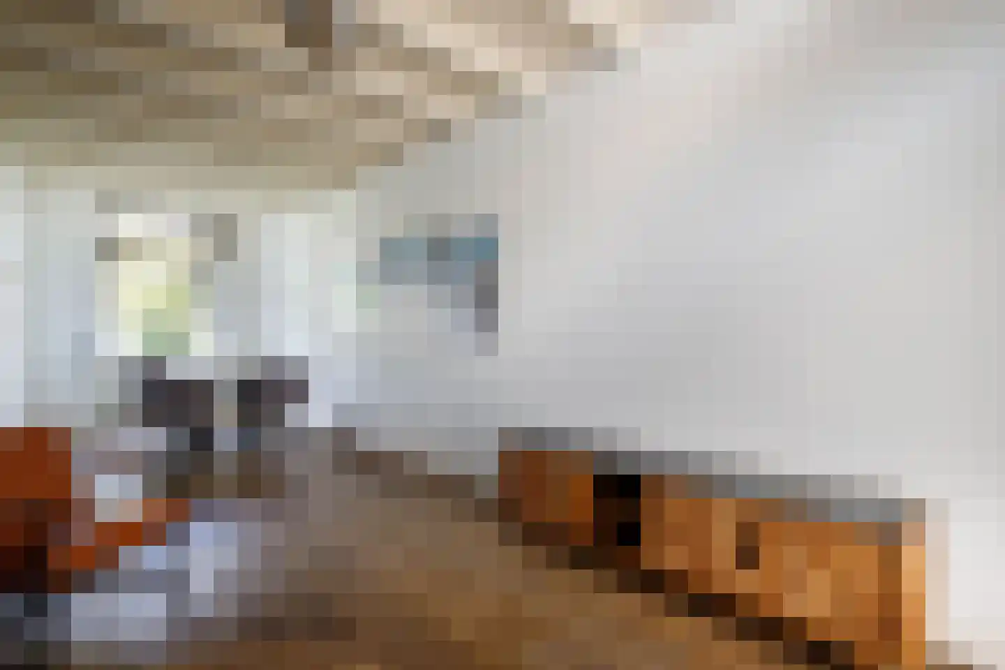 Oude Singel 140 Schoonhoven thumbnail 10