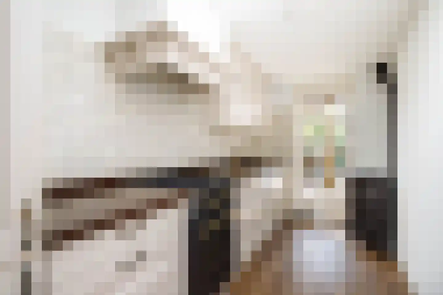 Oude Singel 140 Schoonhoven thumbnail 10