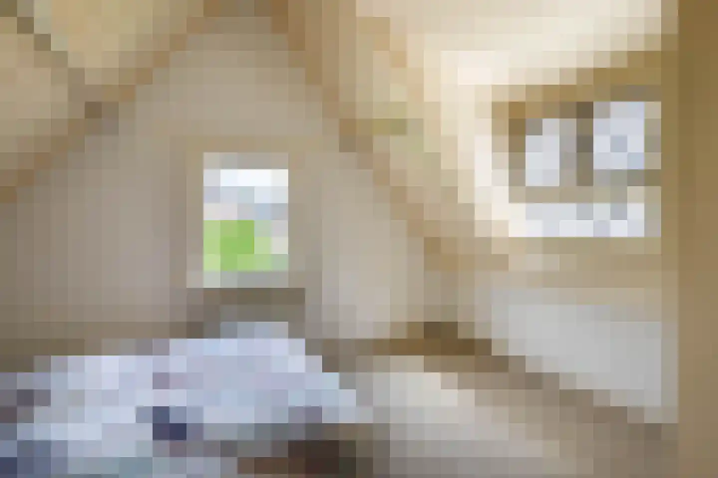 Oude Singel 140 Schoonhoven thumbnail 14