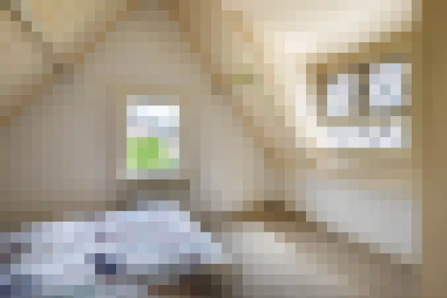 Oude Singel 140 Schoonhoven thumbnail 16