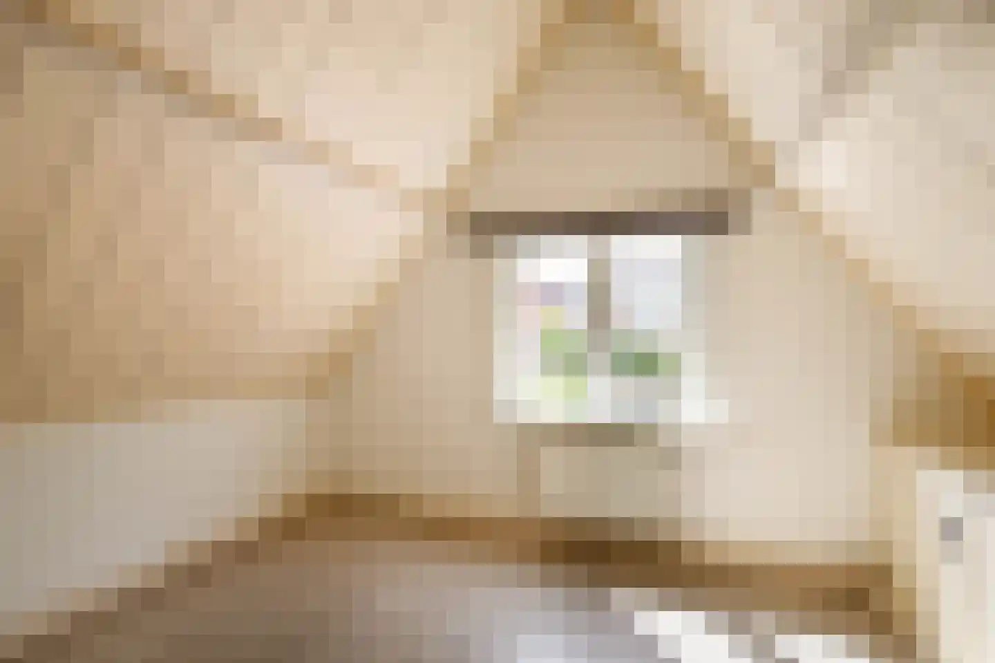 Oude Singel 140 Schoonhoven thumbnail 17