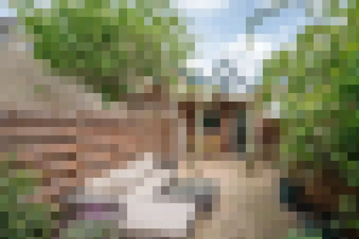 Oude Singel 140 Schoonhoven thumbnail 21