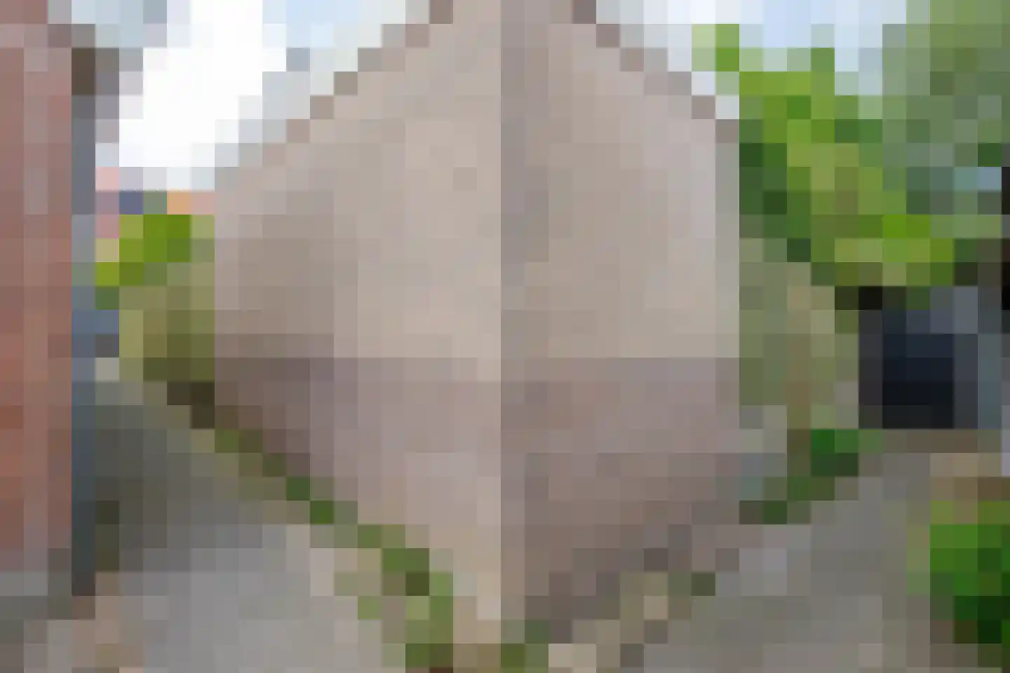 Oude Singel 140 Schoonhoven thumbnail 27