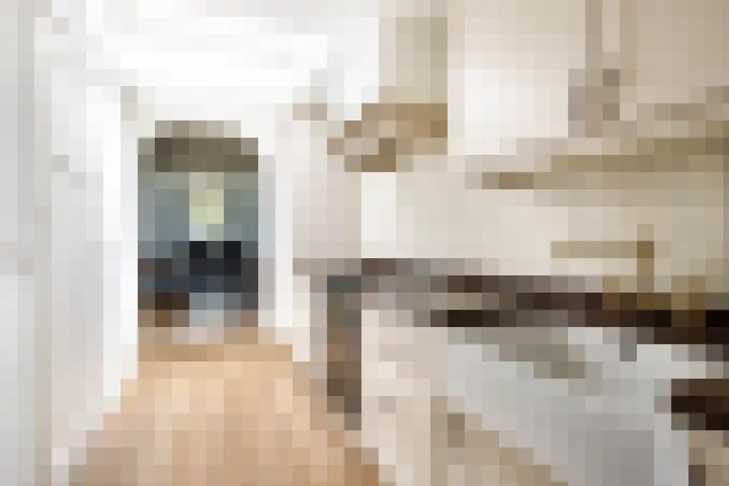 Oude Singel 140 Schoonhoven thumbnail 9