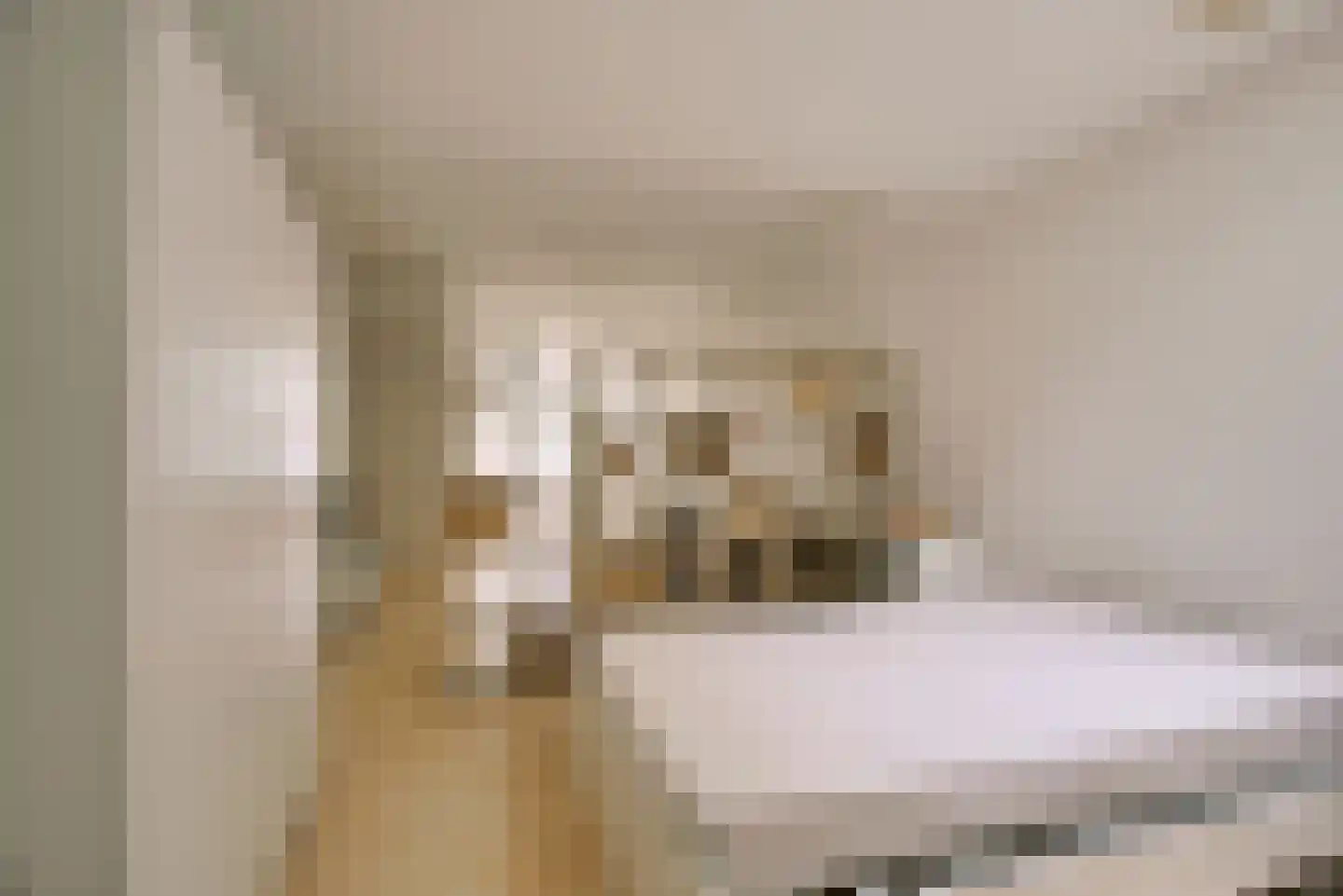 Oude Singel 206 Leiden thumbnail 13
