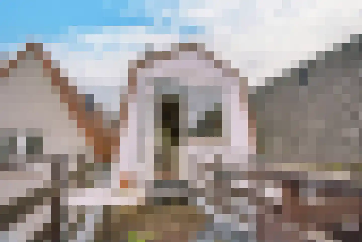 Oude Singel 206 Leiden thumbnail 36