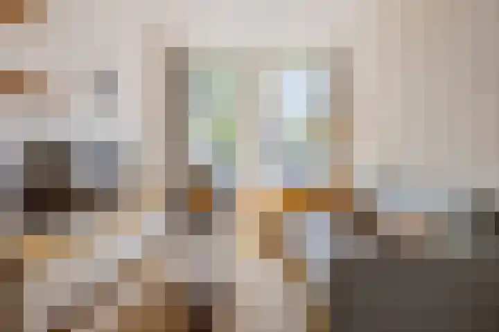 Oude Singel 24 A Leiden thumbnail 11