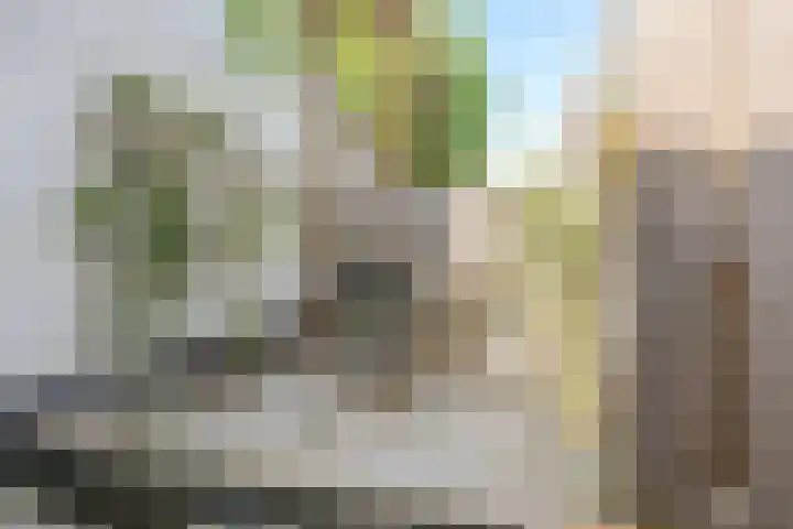 Oude Singel 24 A Leiden thumbnail 26
