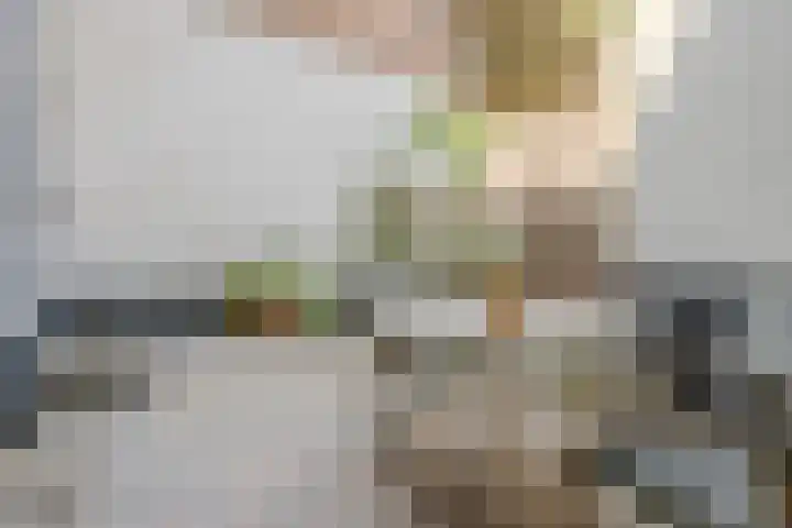 Oude Singel 24 A Leiden thumbnail 28