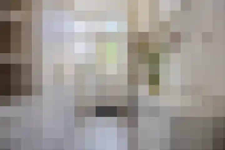 Oude Singel 24 A Leiden thumbnail 33
