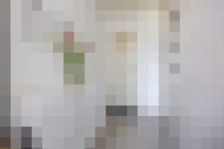 Oude Singel 24 A Leiden thumbnail 34