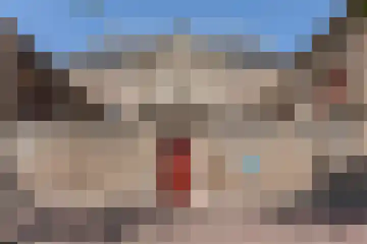 Oude Singel 24 A Leiden thumbnail 48