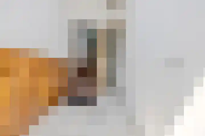Oude Singel 24 A Leiden thumbnail 8